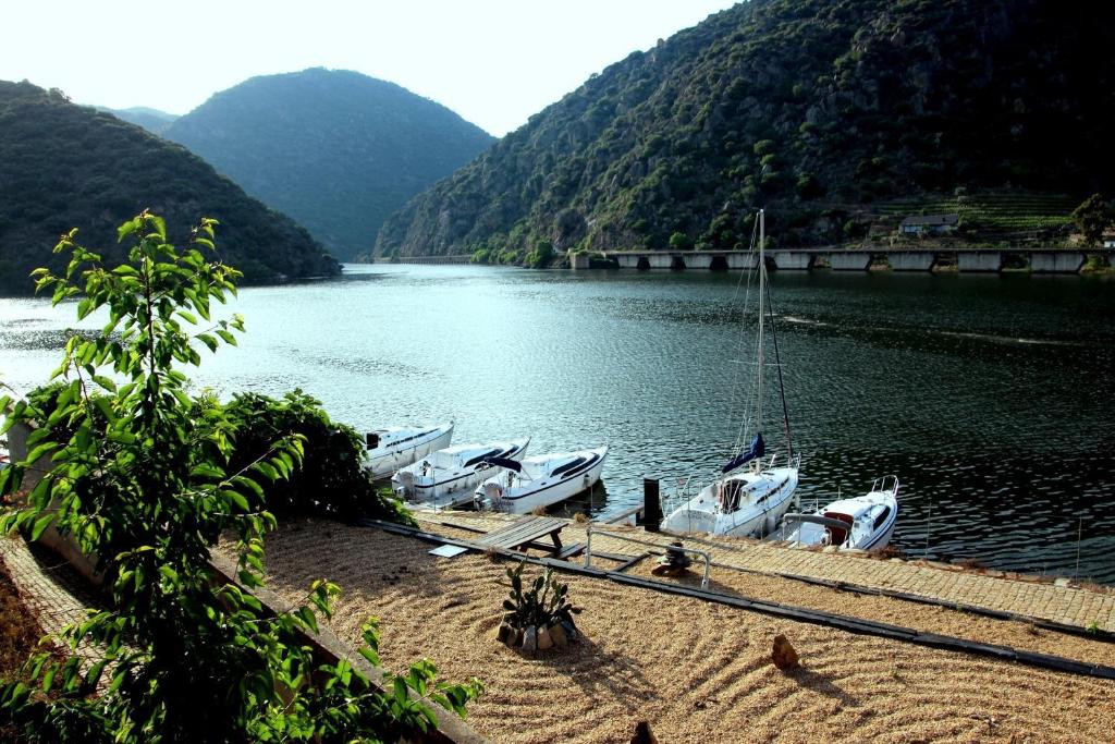 Douro Yacht Charter & Bungalows photo