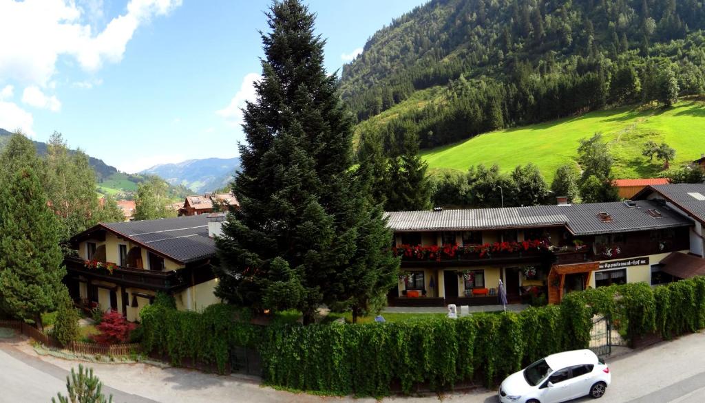 Alpen-Appartementhof - 3