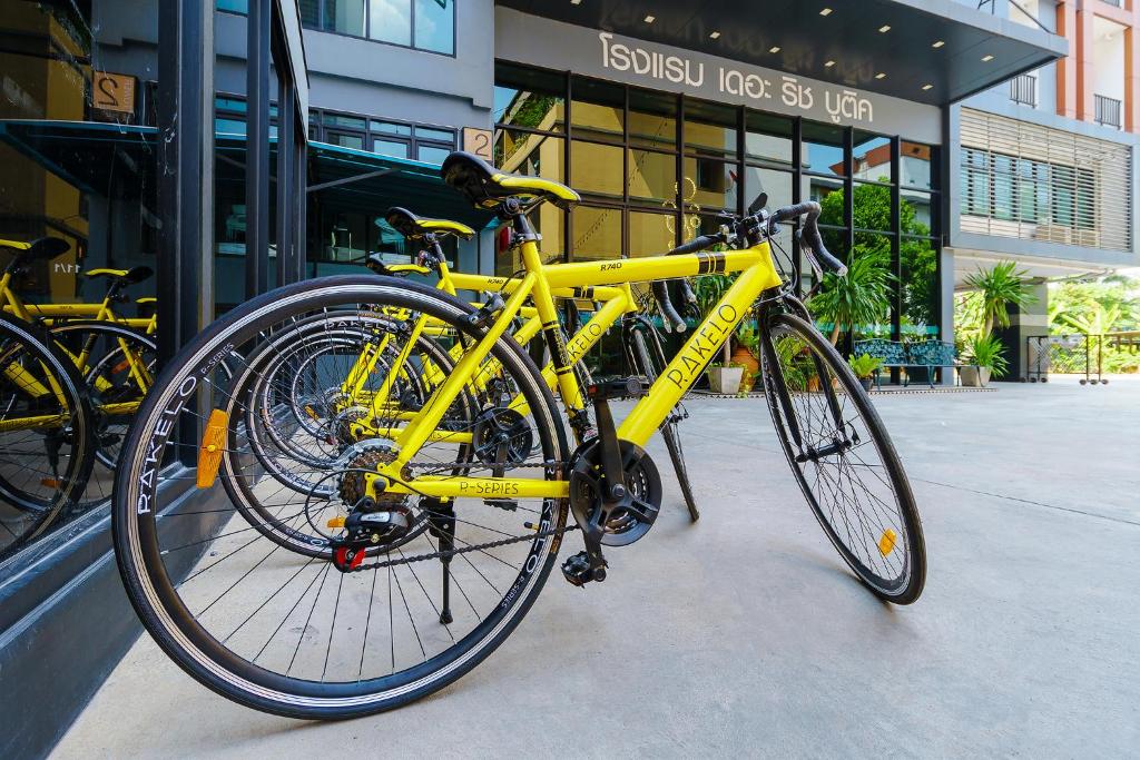 Sports and activities