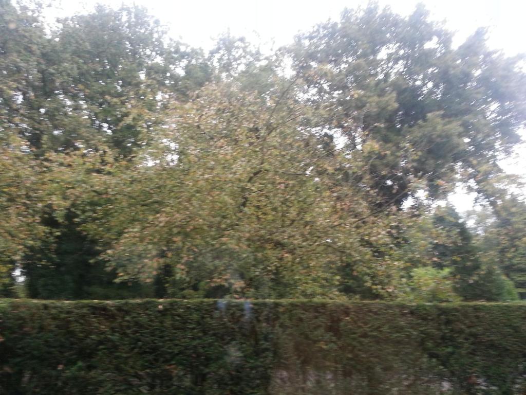 B & B Waalre photo