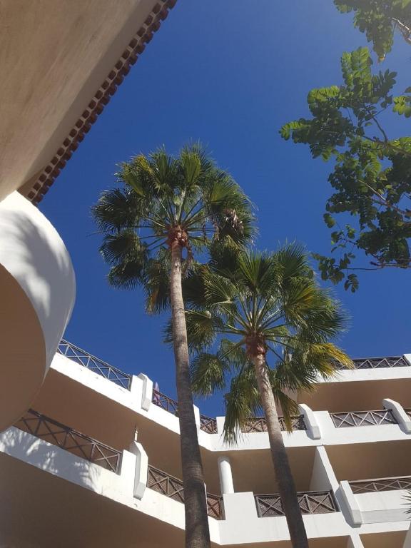Tropical garden, sunshine, heated pool - 3