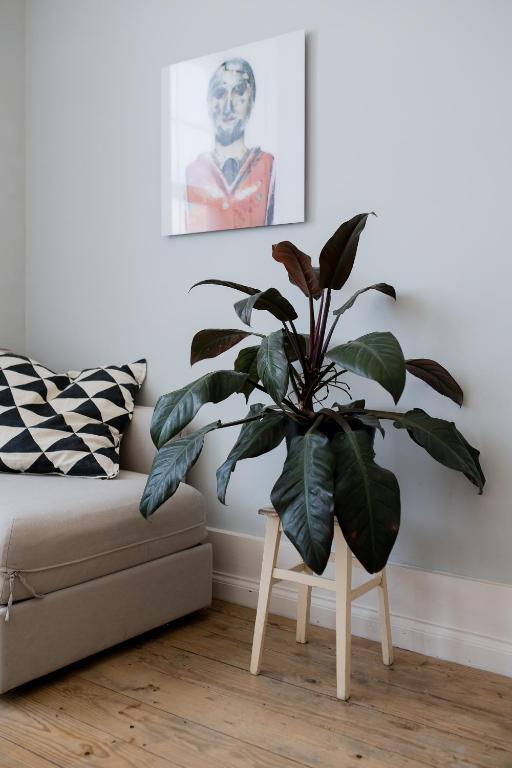 Baixa24 •P2R• Bright Apt in Vibrant Downtown photo