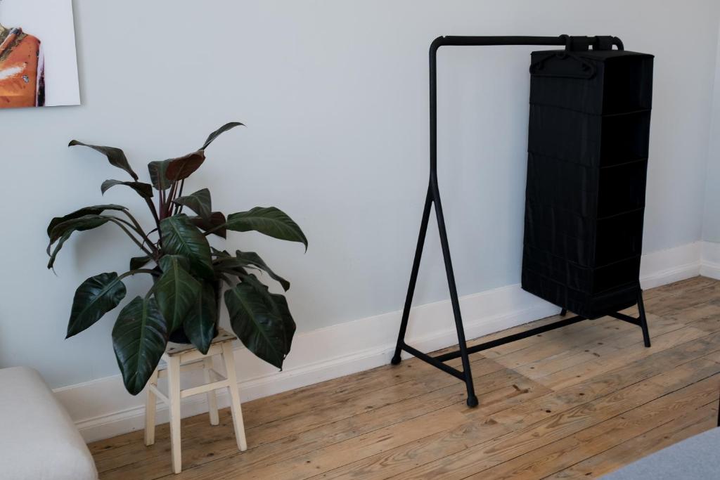 Baixa24 •P2R• Bright Apt in Vibrant Downtown photo
