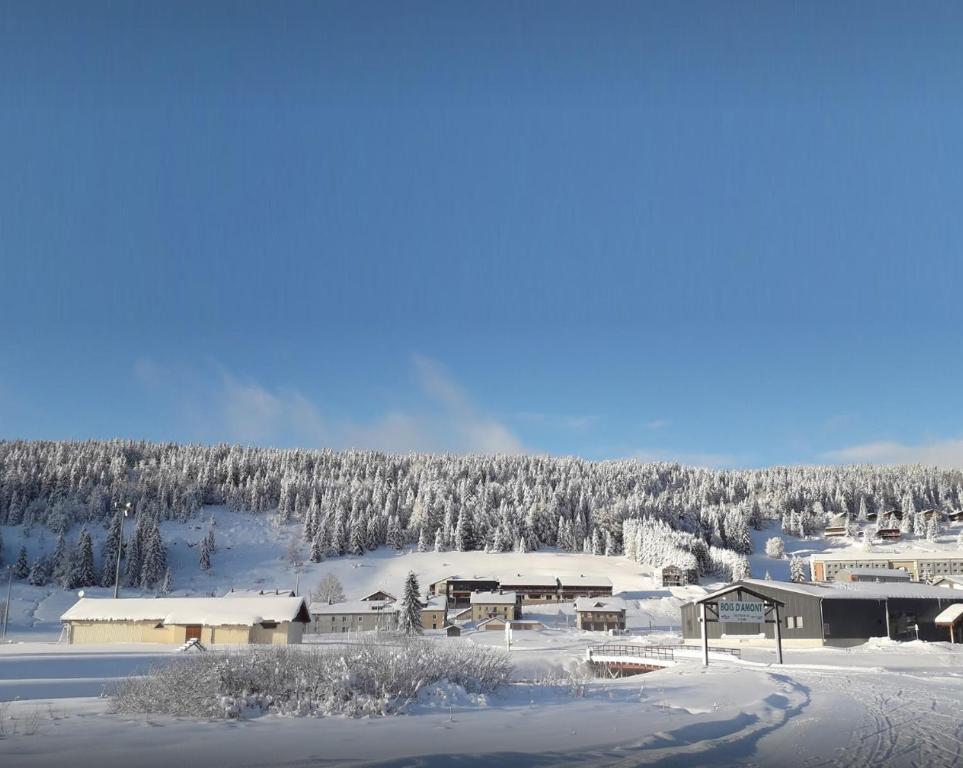 Village club de Bois d'Amont - 5
