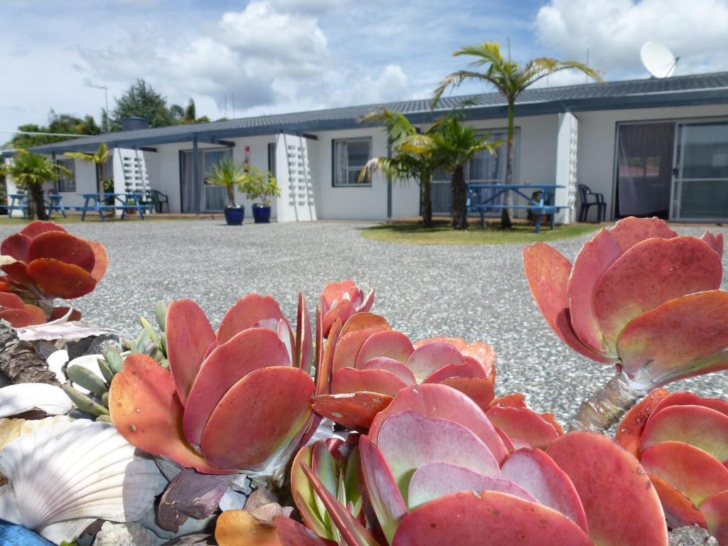 Mana-Nui Motel - Whitianga - ViaMichelin: informatie en online reserveren