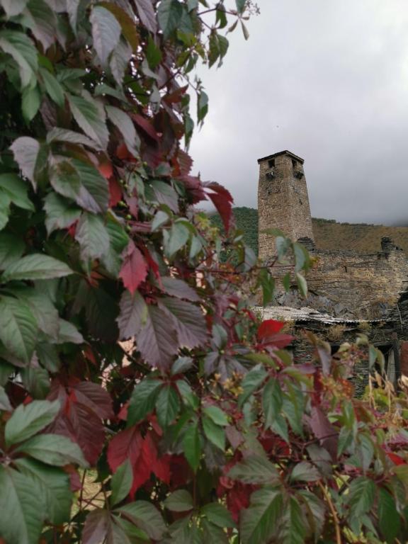 Snoveli Kazbegi photo
