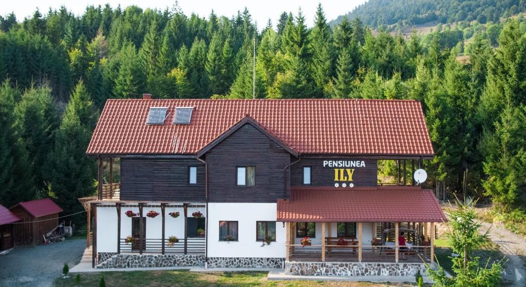 Pensiunea Ily — Hotel in Colibita