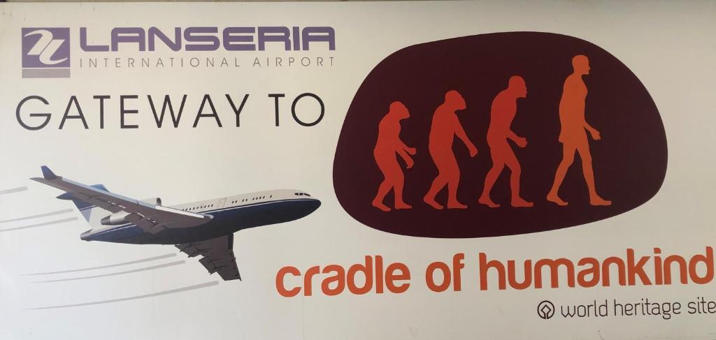 周辺観光スポット