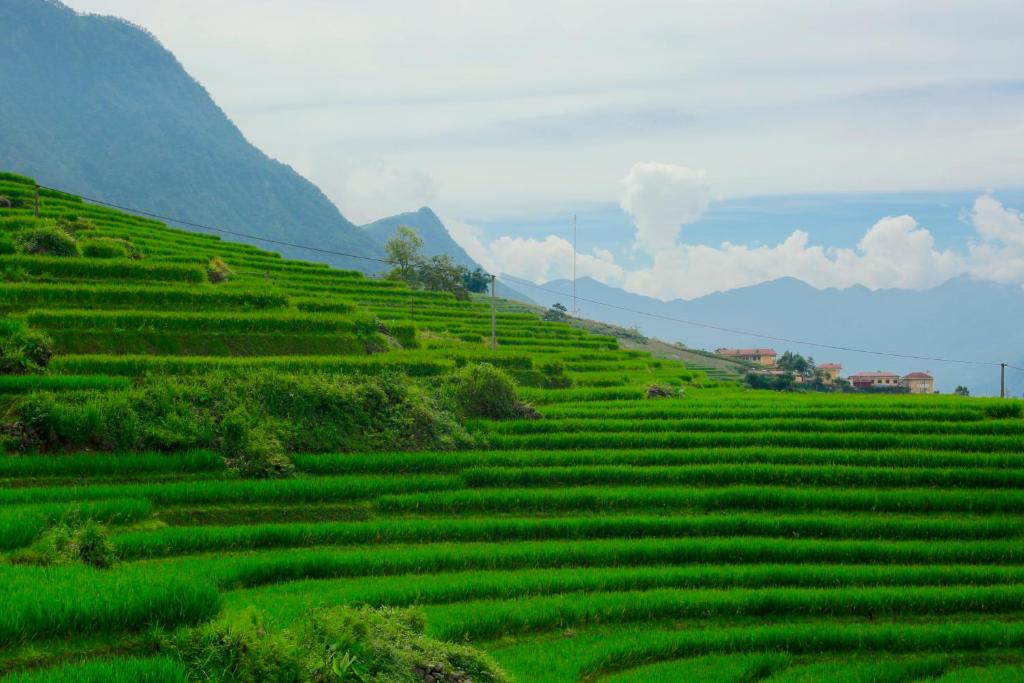 Surrounding environment