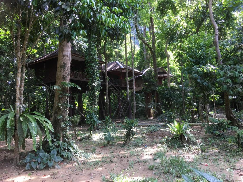 Surrounding environment