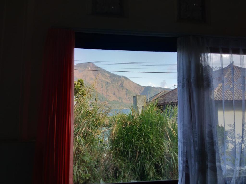 Volcano 2 guesthouse photo