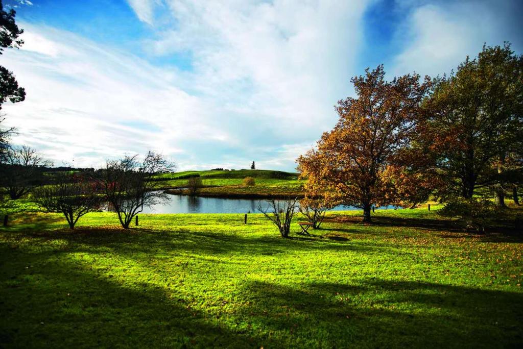 Eling Forest Winery photo