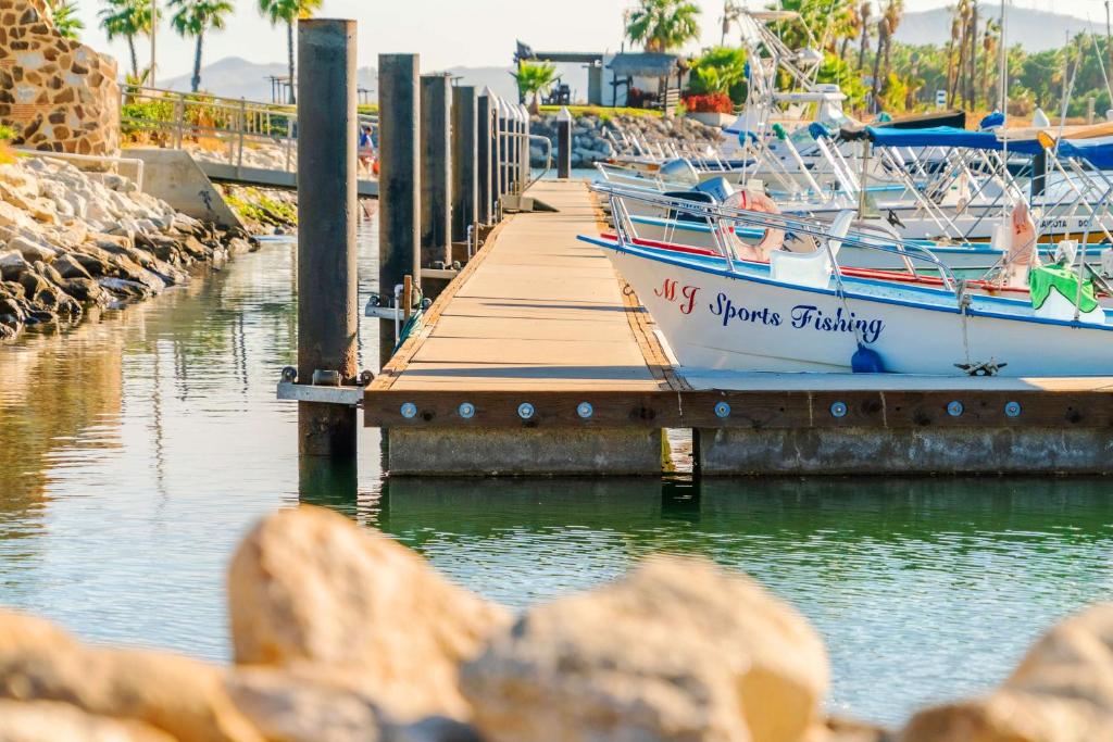 Surrounding environment