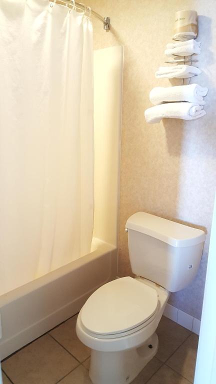 Atrium Inn & Suites photo