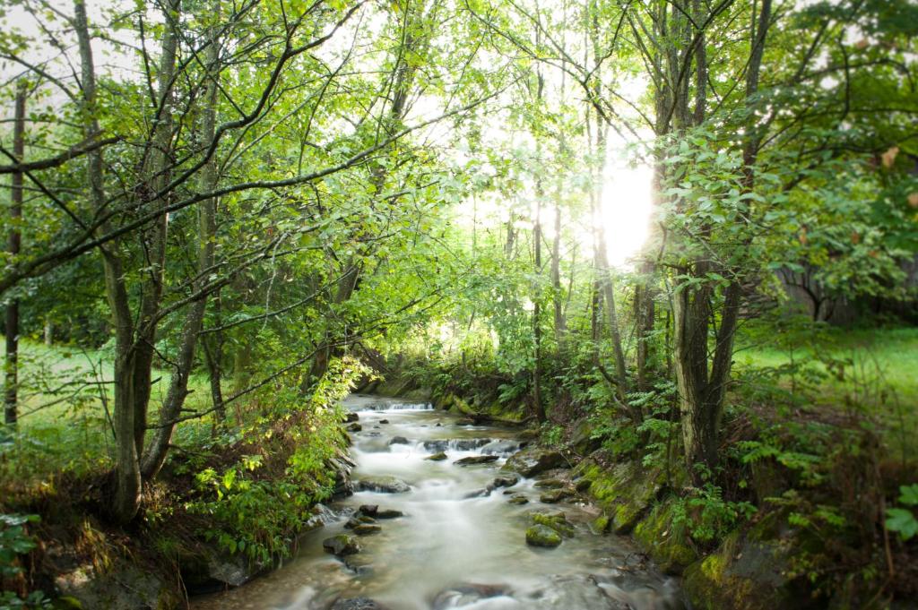 Sports and activities