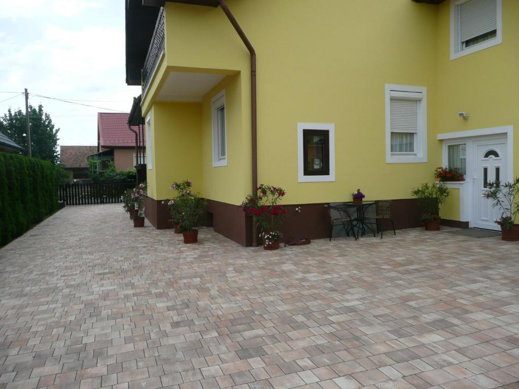 Zsuzsi Vendeghaz photo