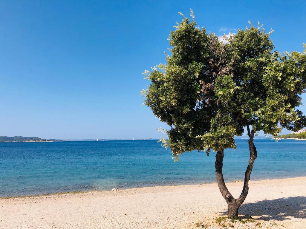 Ecobeachvilla Buqez 9 — Hotel in Drage