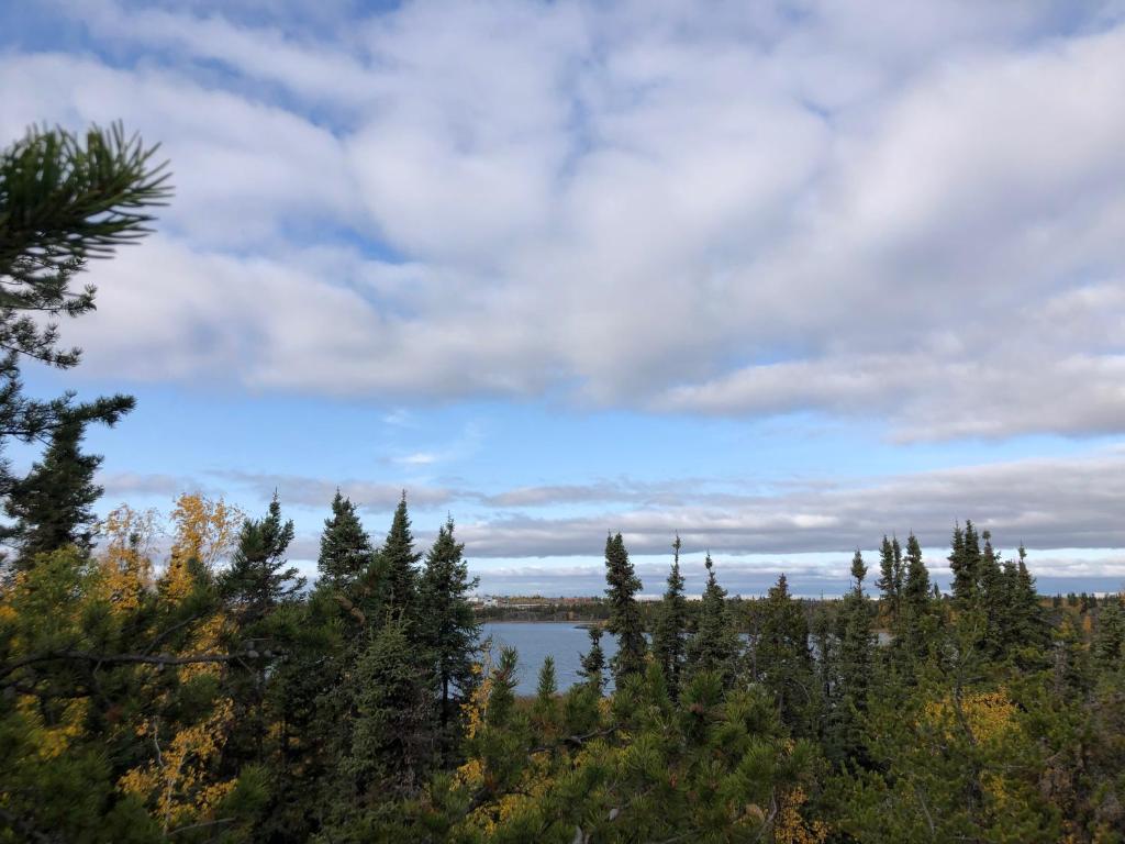 View