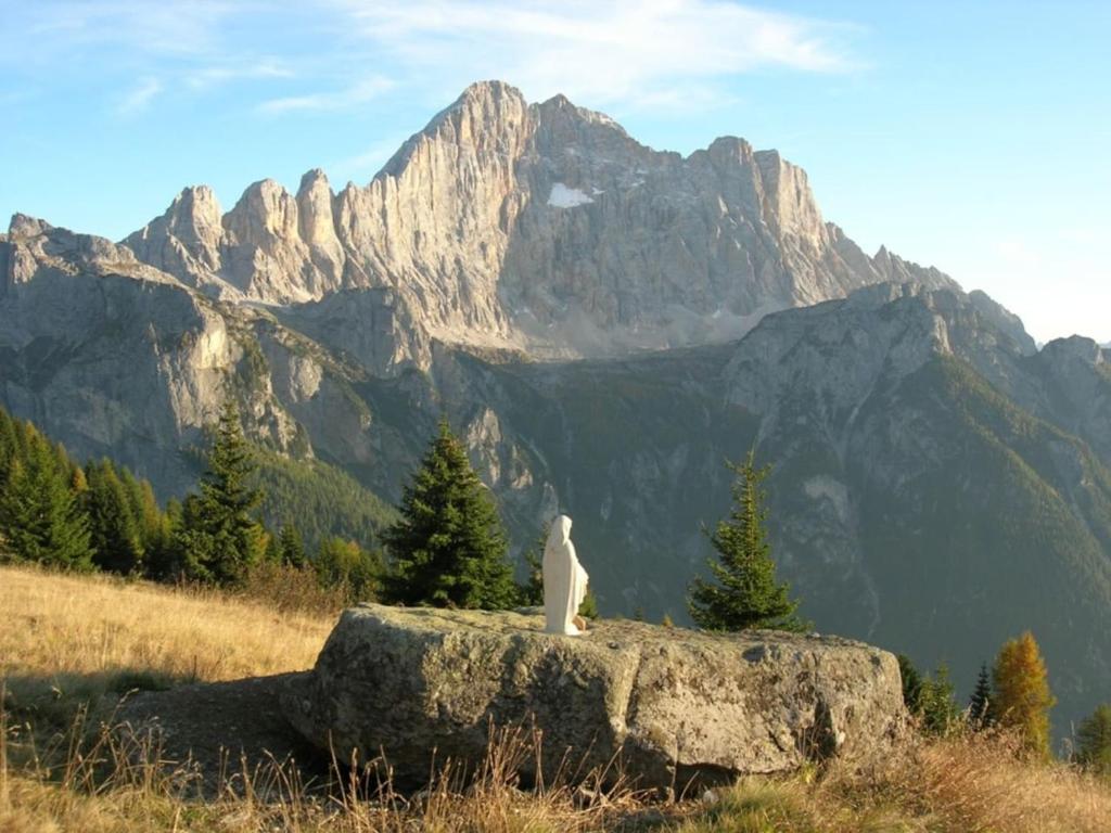 Cesa DOLOMITI photo