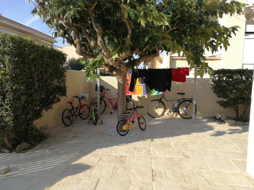 Belle maison, en bord de plage - 4
