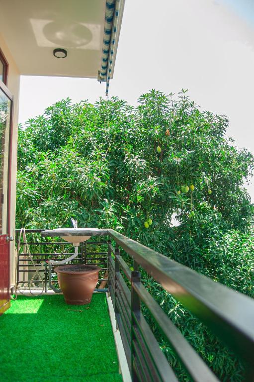 Tri Kỷ Vàng Homestay