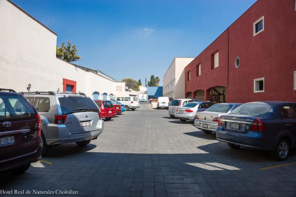 Hotel Real de Naturales photo