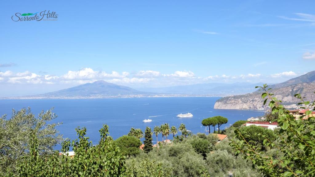 Sorrento Hills - 2