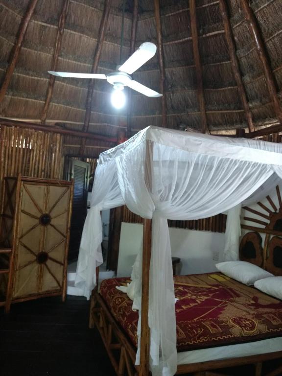 Green Tulum Hotel photo