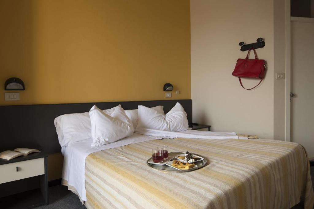 Hotel Airone photo