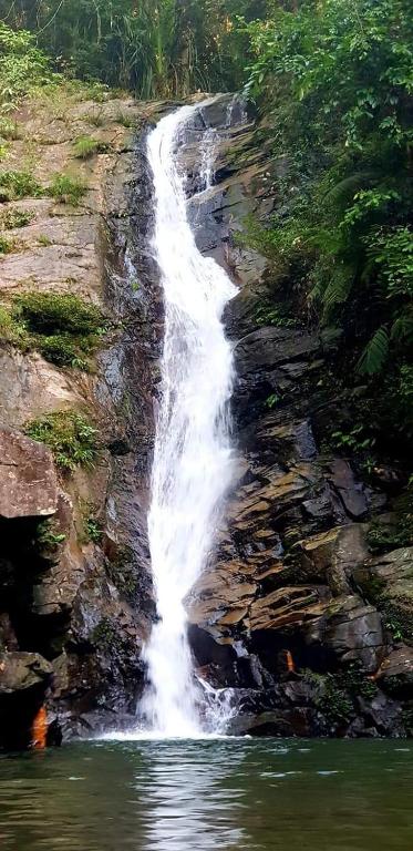 ウエストポイント イン (Westpoint Inn)