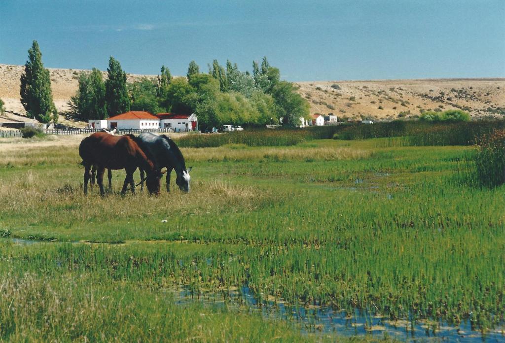 Estancia La Angostura photo
