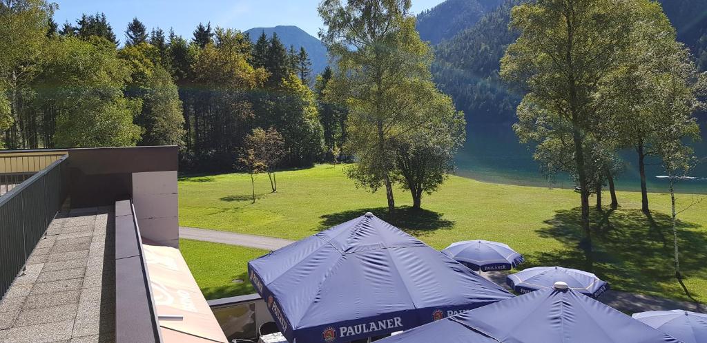Hotel Forelle photo