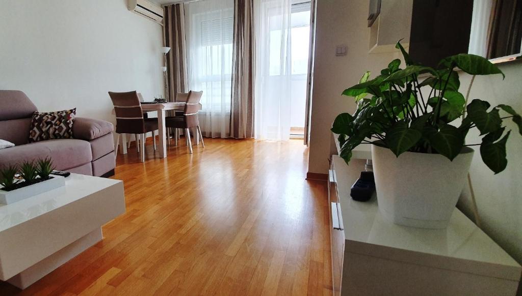 Royal apartment Belvill - 4