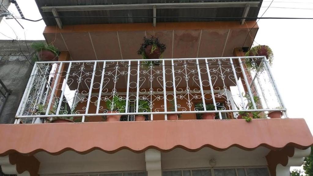 Casa Krisdalia — Hotel in Moyogalpa