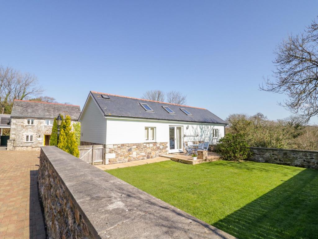 Forget-me-not, Saint Columb Major