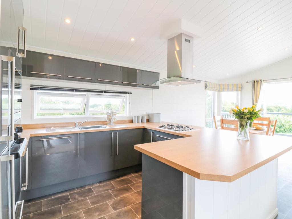 Birch Lodge, Teigngrace photo 8