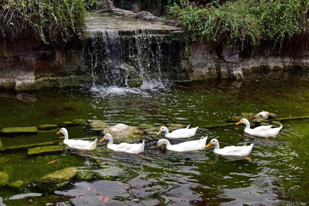 บริการและสิ่งอำนวยความสะดวก