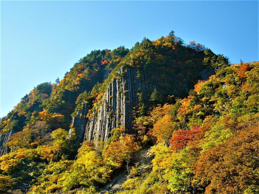 秋山郷雄川閣 photo