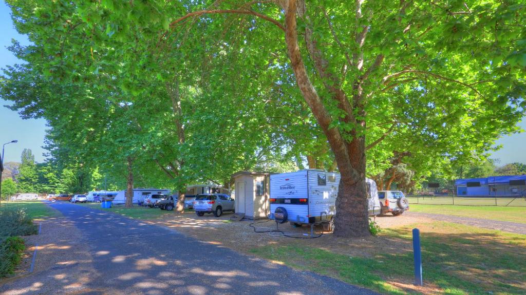 Myrtleford Holiday Park photo