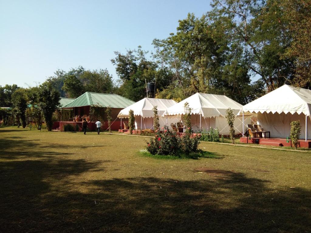 Jungle View Resort Ranthambhore photo