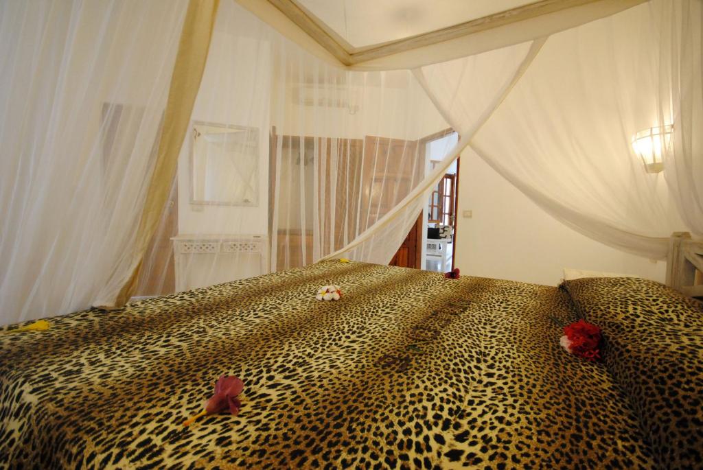 Kola Beach Resort photo