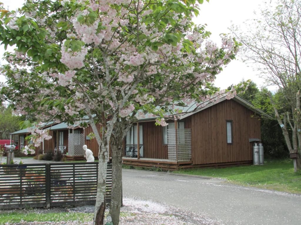 219 on Johns Motel & Holiday Park