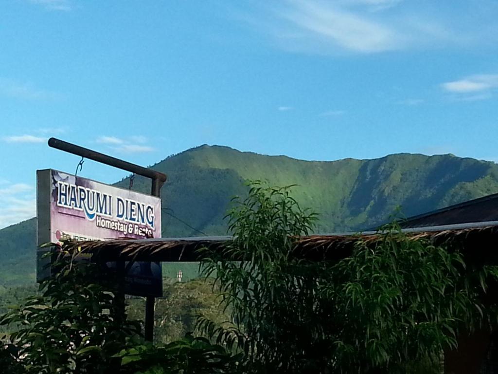 RedDoorz near Desa Wisata Tambi Dieng in Wonosobo, Indonesia - reviews