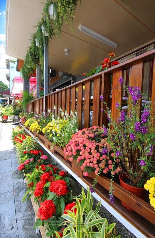 Sun Moon Lake Backpacker Hostel photo