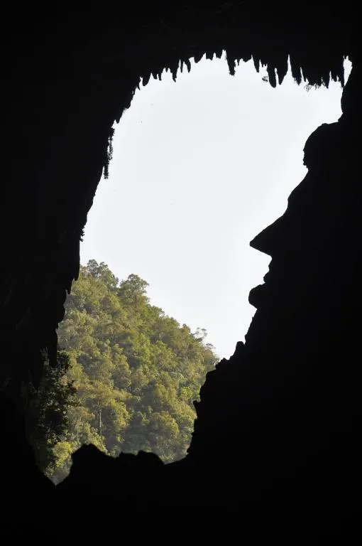 Mulu National Park, hotel in Mulu