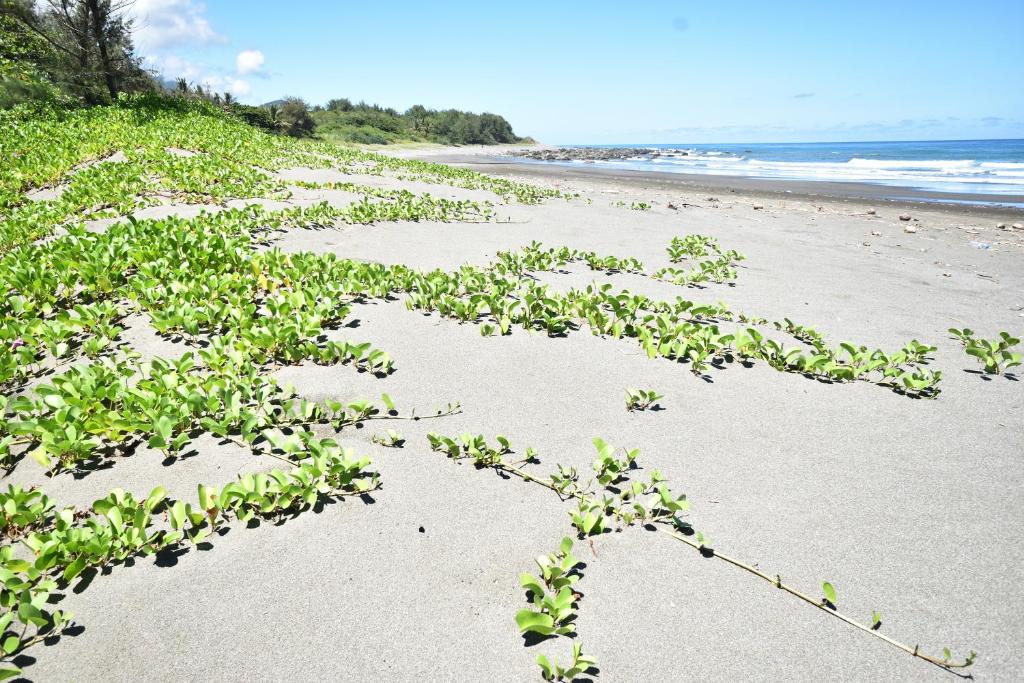 Xi Cun Homestay 호텔 이미지 2