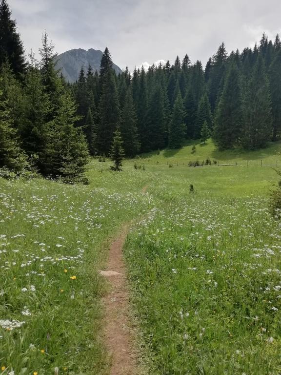 Apartment Vujisic - 2