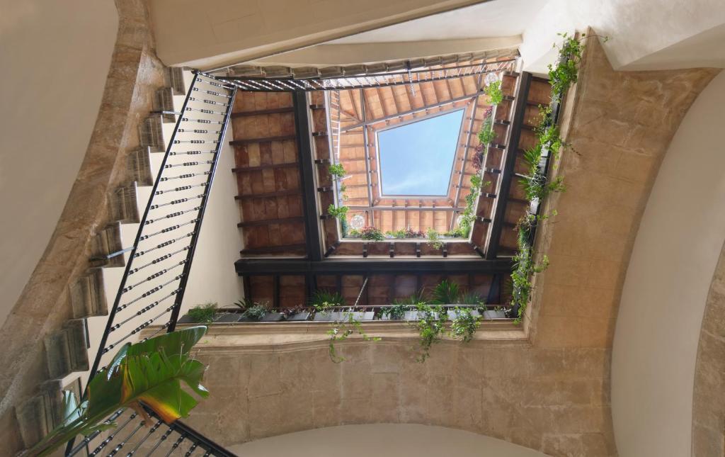 Hotel Antigua Palma - Casa Noble - 5