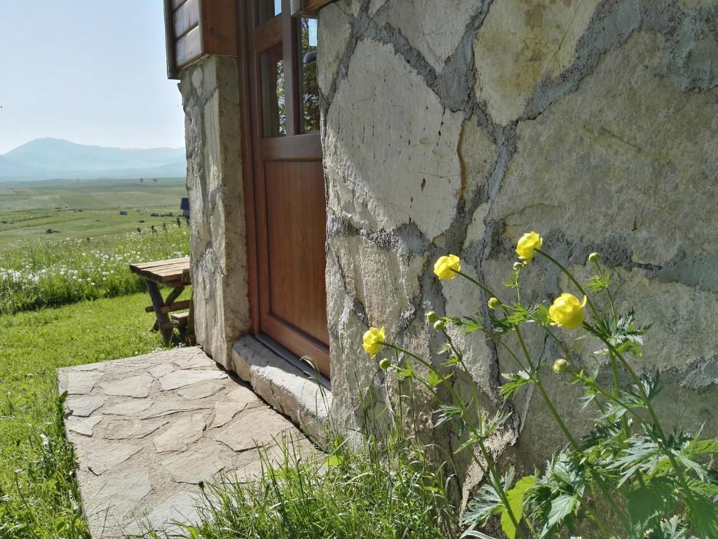 Family Farm Bungalow - 4