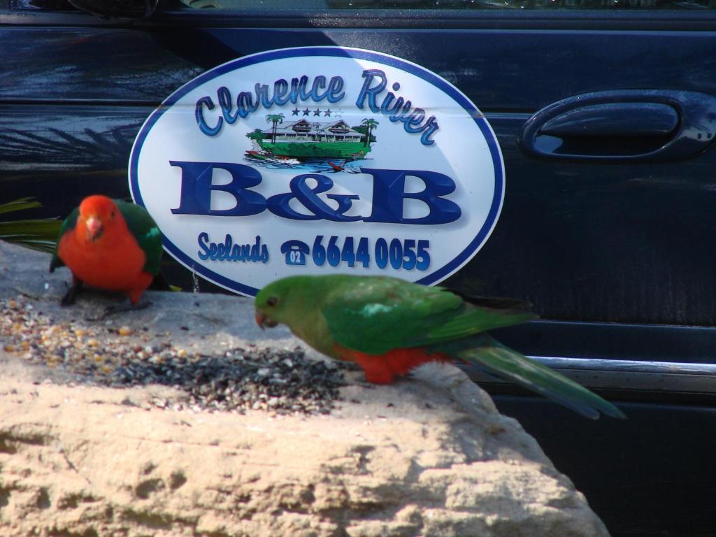 Clarence River Bed & Breakfast photo